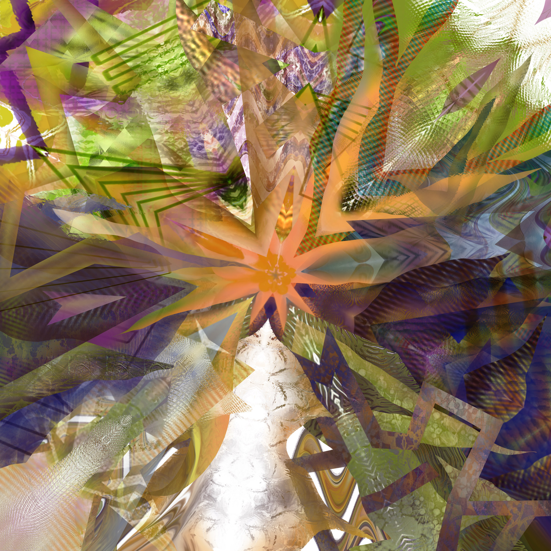Cape Flora