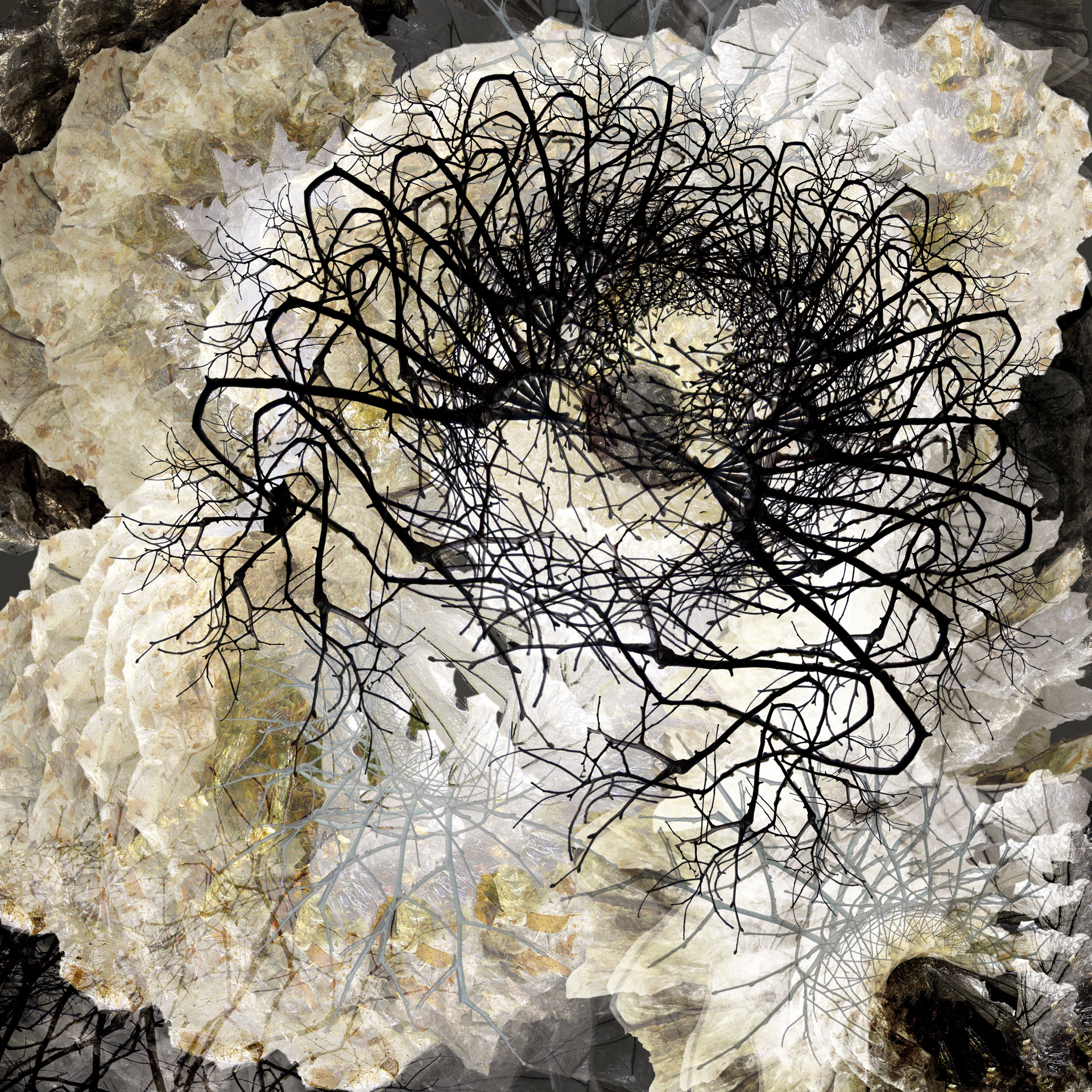 Strata #11: Enlaces 5