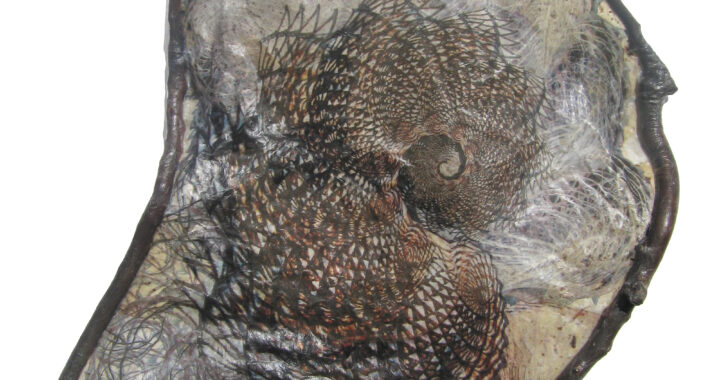 Strata #18