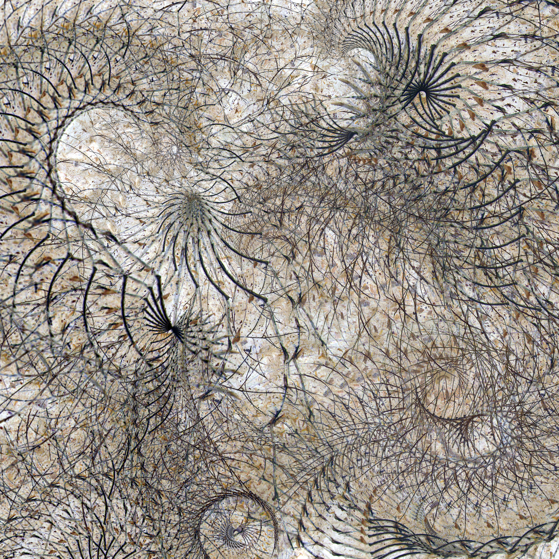 Strata #1: Enlaces 2