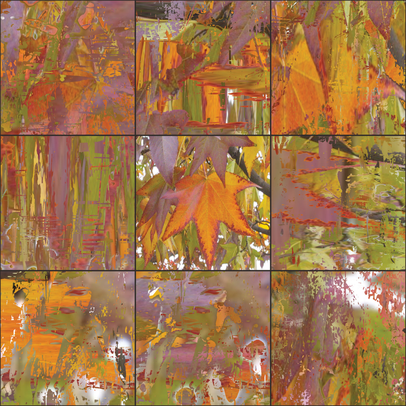 VIA Solo grid sample