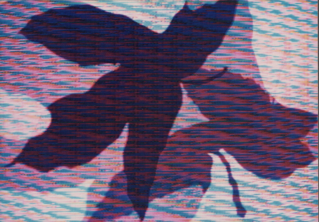Digital Leaves 1