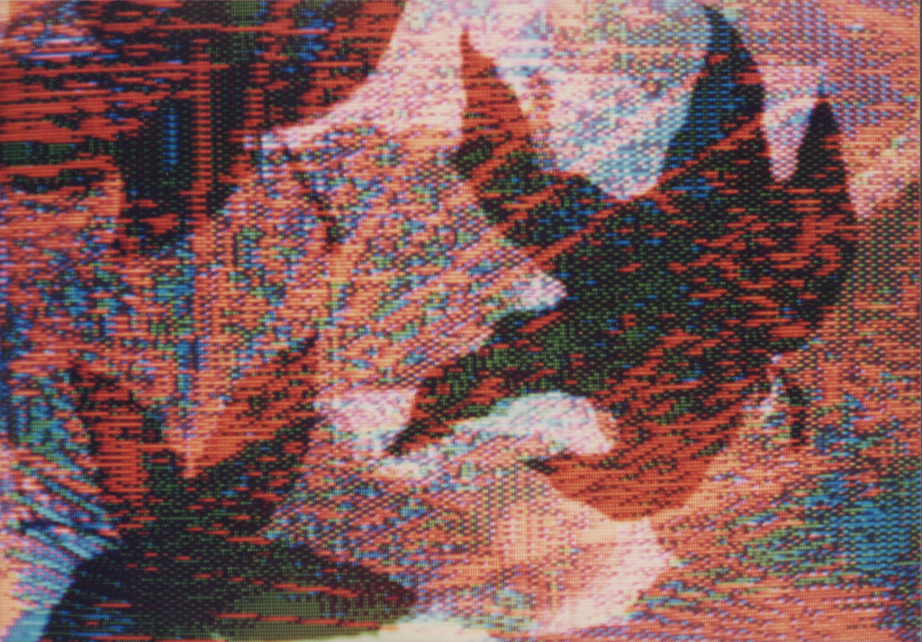 Digital Leaves 2