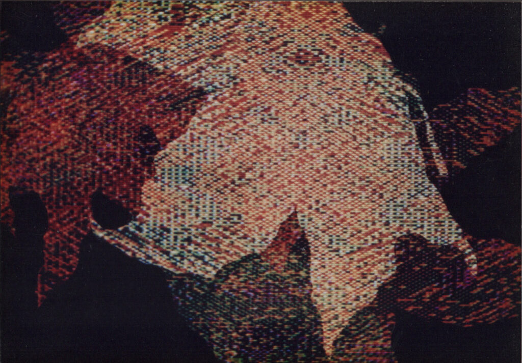 Digital Leaves 4