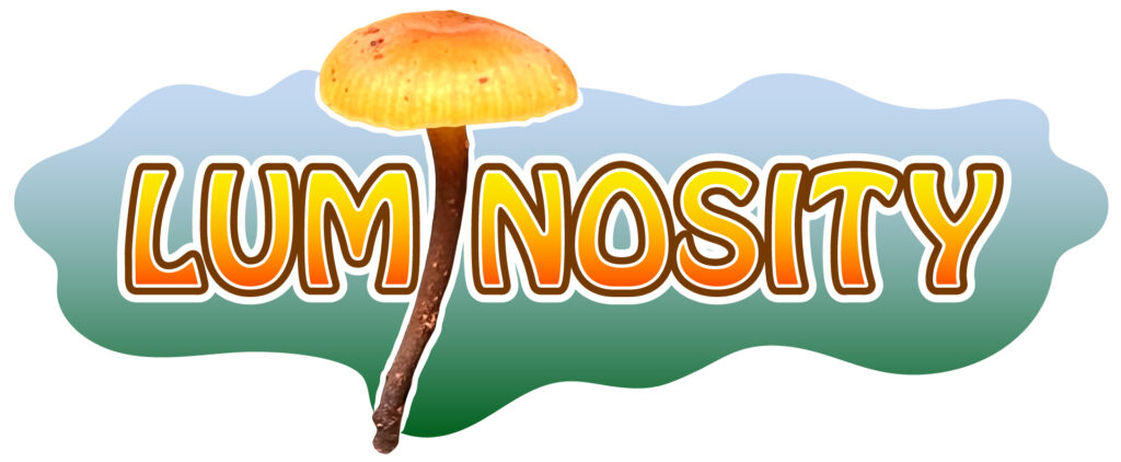 Luminosity logo